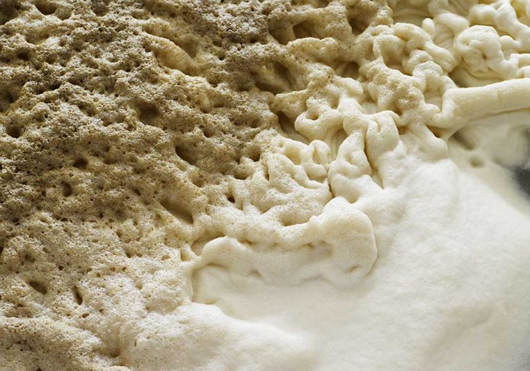 The Role of Yeast in Brewing Beer - Brewer World-Everything about beer ...