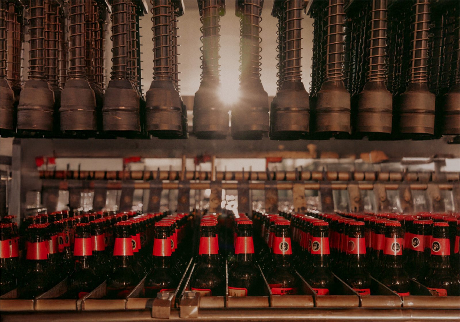 Simba Garage: Brewing Bold New Paths in Craft Beer
