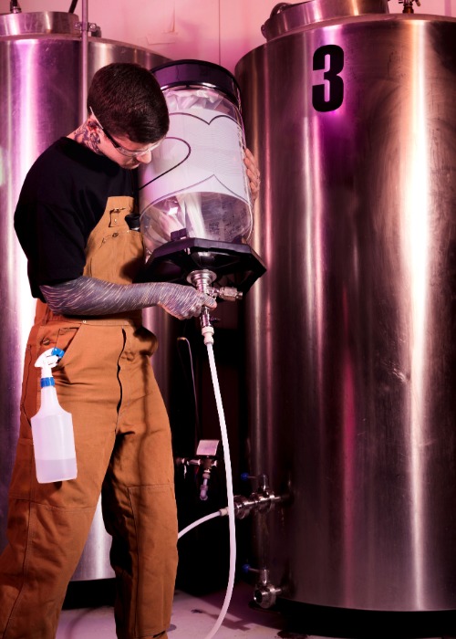 craft beer, enzymes, fermentation, fermentation science, industrial enzymes